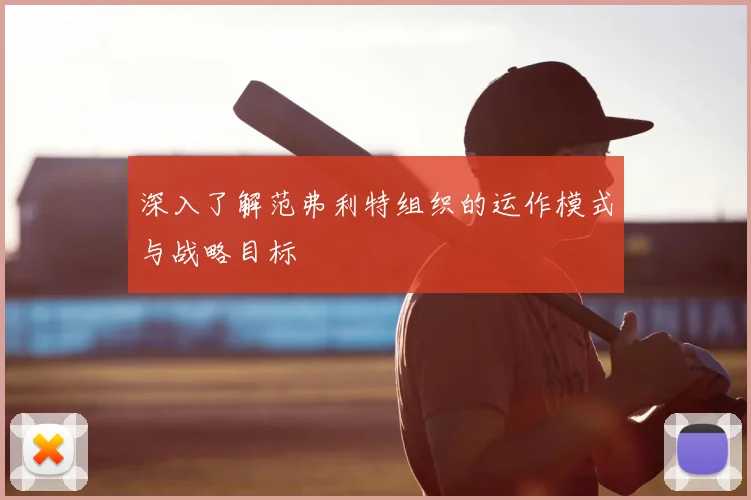 深入了解范弗利特组织的运作模式与战略目标