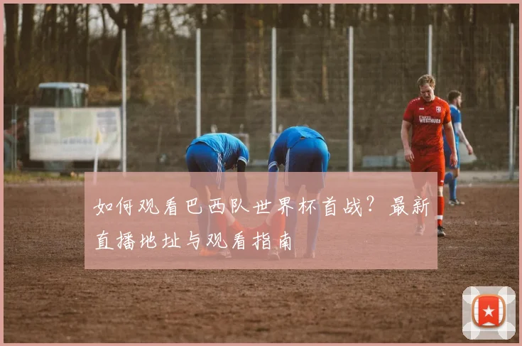 如何观看巴西队世界杯首战？最新直播地址与观看指南