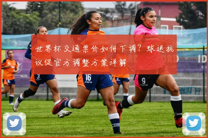 世界杯交通票价如何下调?球迷抗议促官方调整方案详解