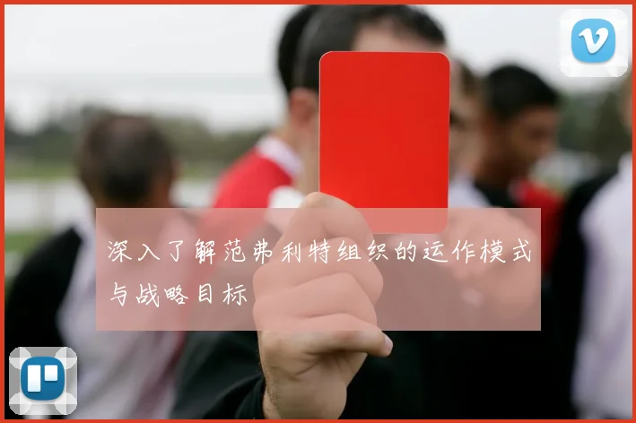 深入了解范弗利特组织的运作模式与战略目标